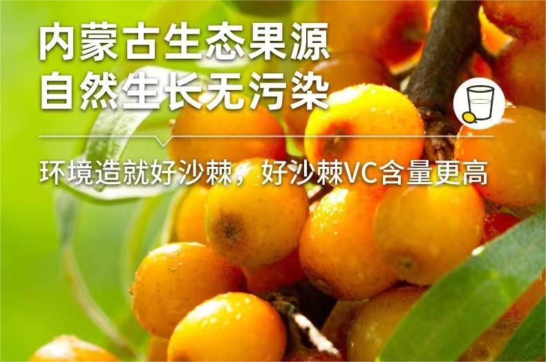 赤大师沙棘原浆:高原野生沙棘的冷榨工艺与品质保障全解析